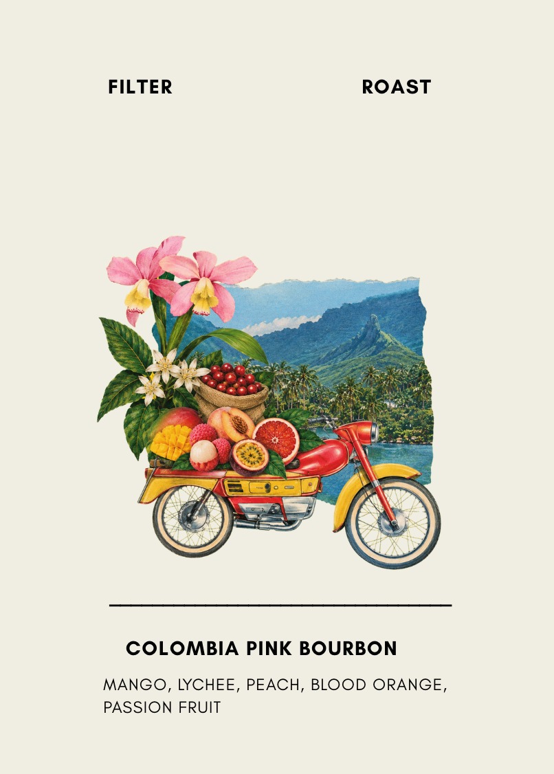 Colombia Pink Bourbon